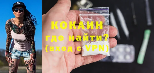 дживик Бронницы
