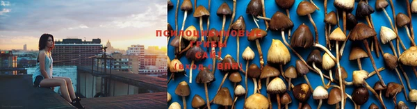 мдма Бугульма