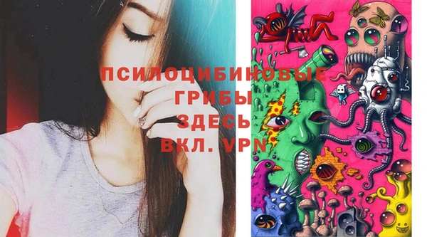 дживик Бронницы
