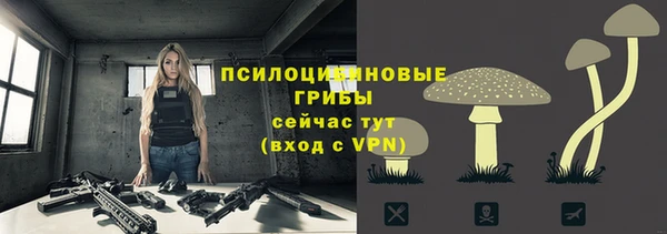 ALPHA PVP Бородино