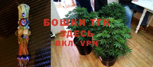 дживик Бронницы