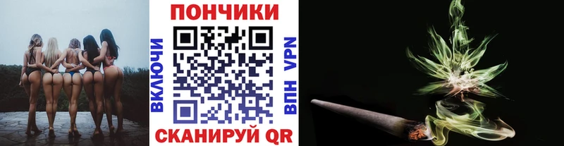 дарнет шоп  Нижневартовск  Шишки марихуана планчик 